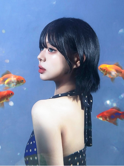 어항스튜디오