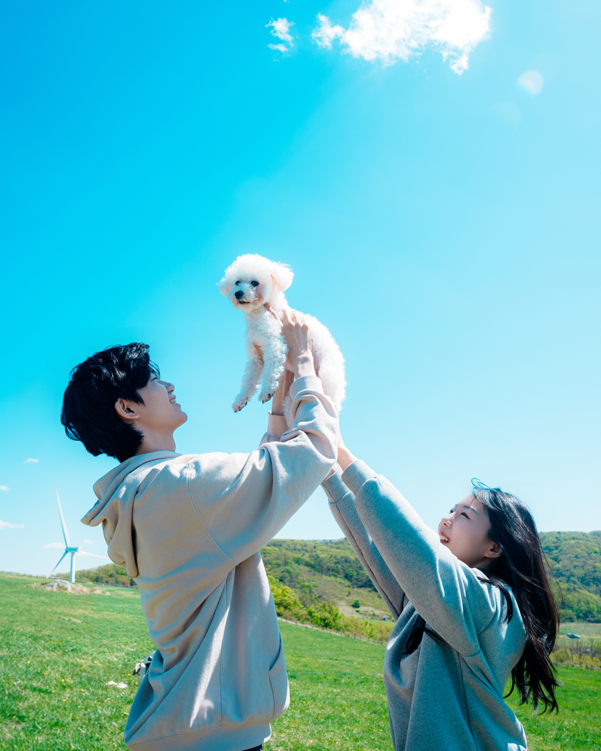 애견 스냅