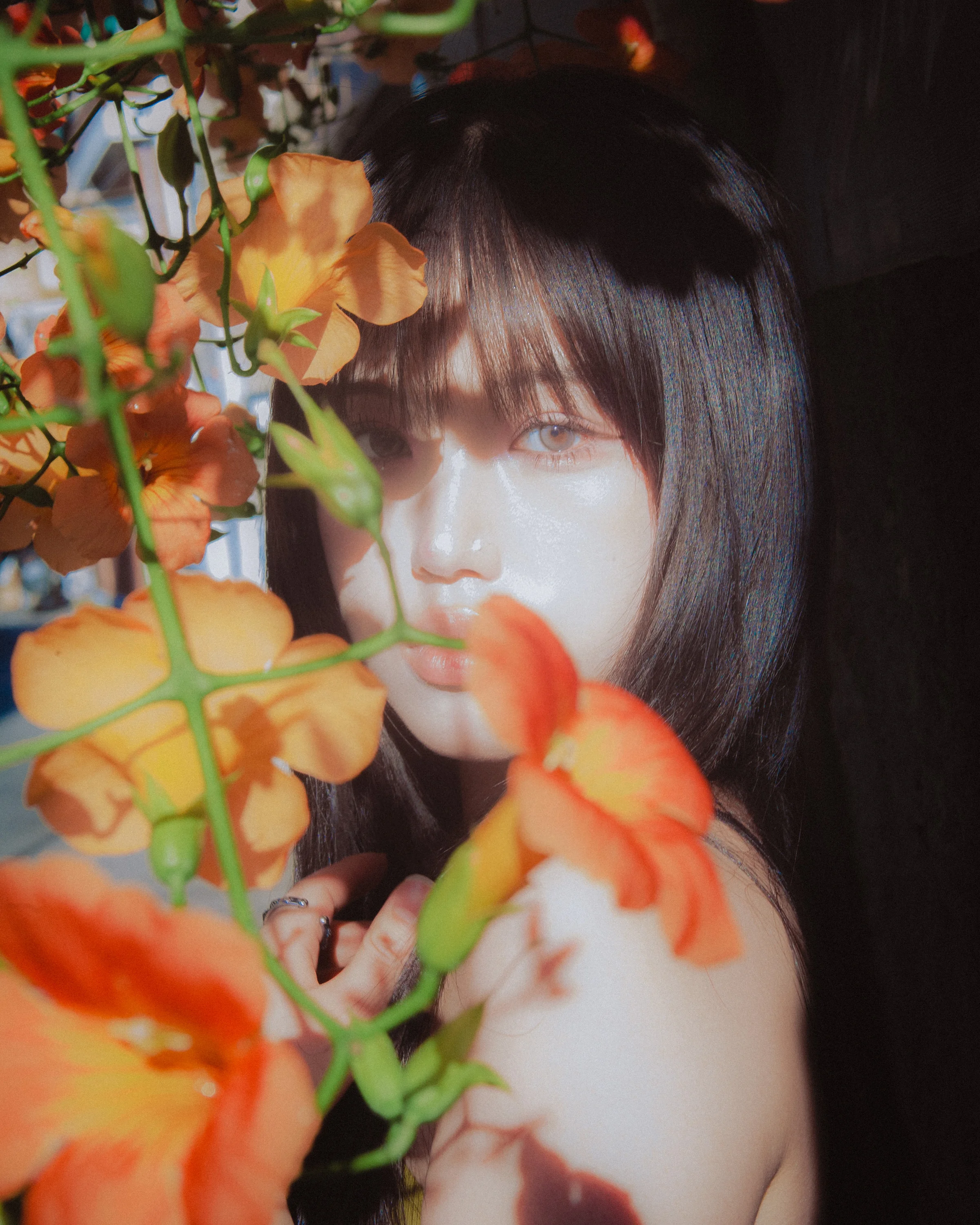 걸어도 걸어도..