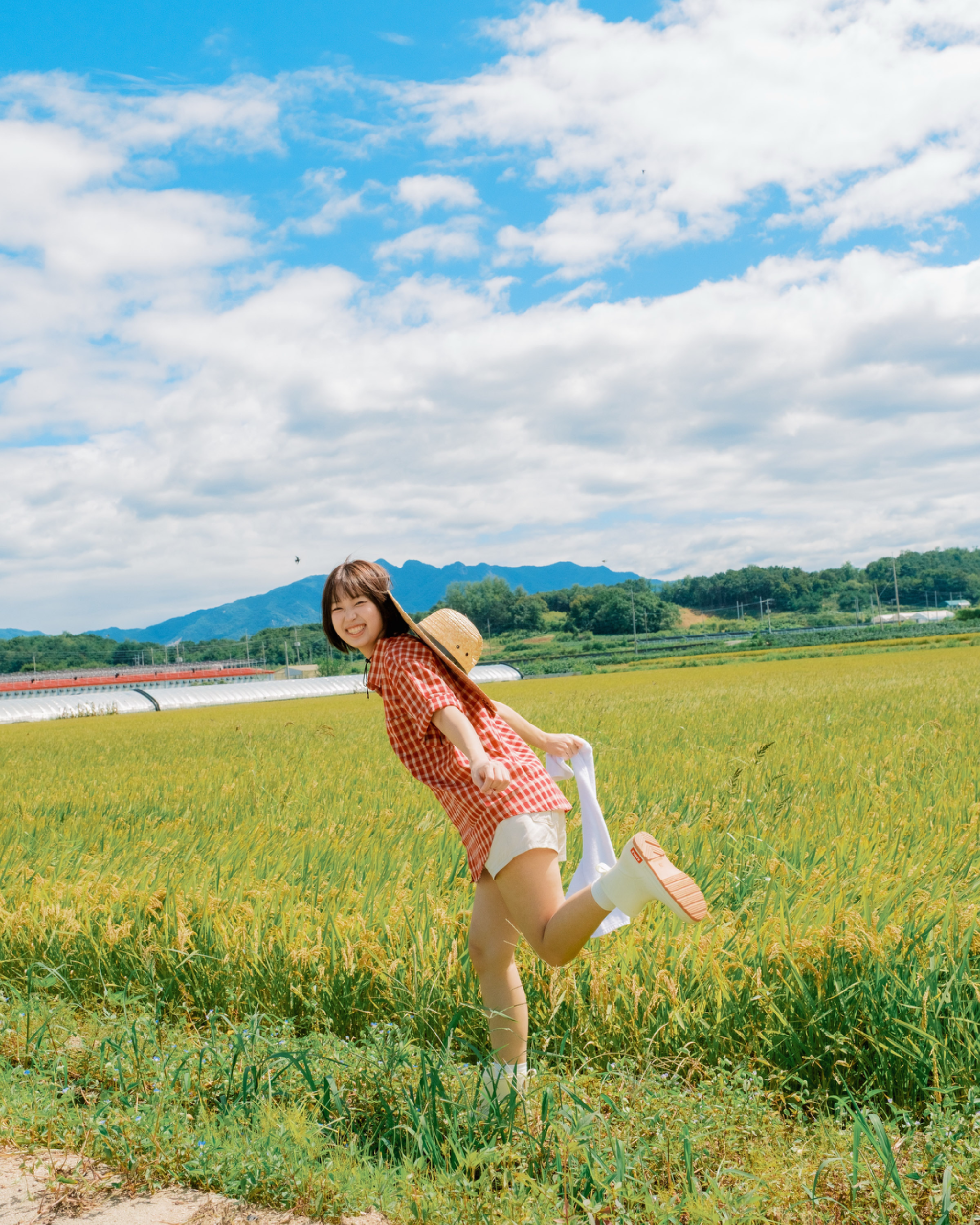 호야 대표 이미지 8