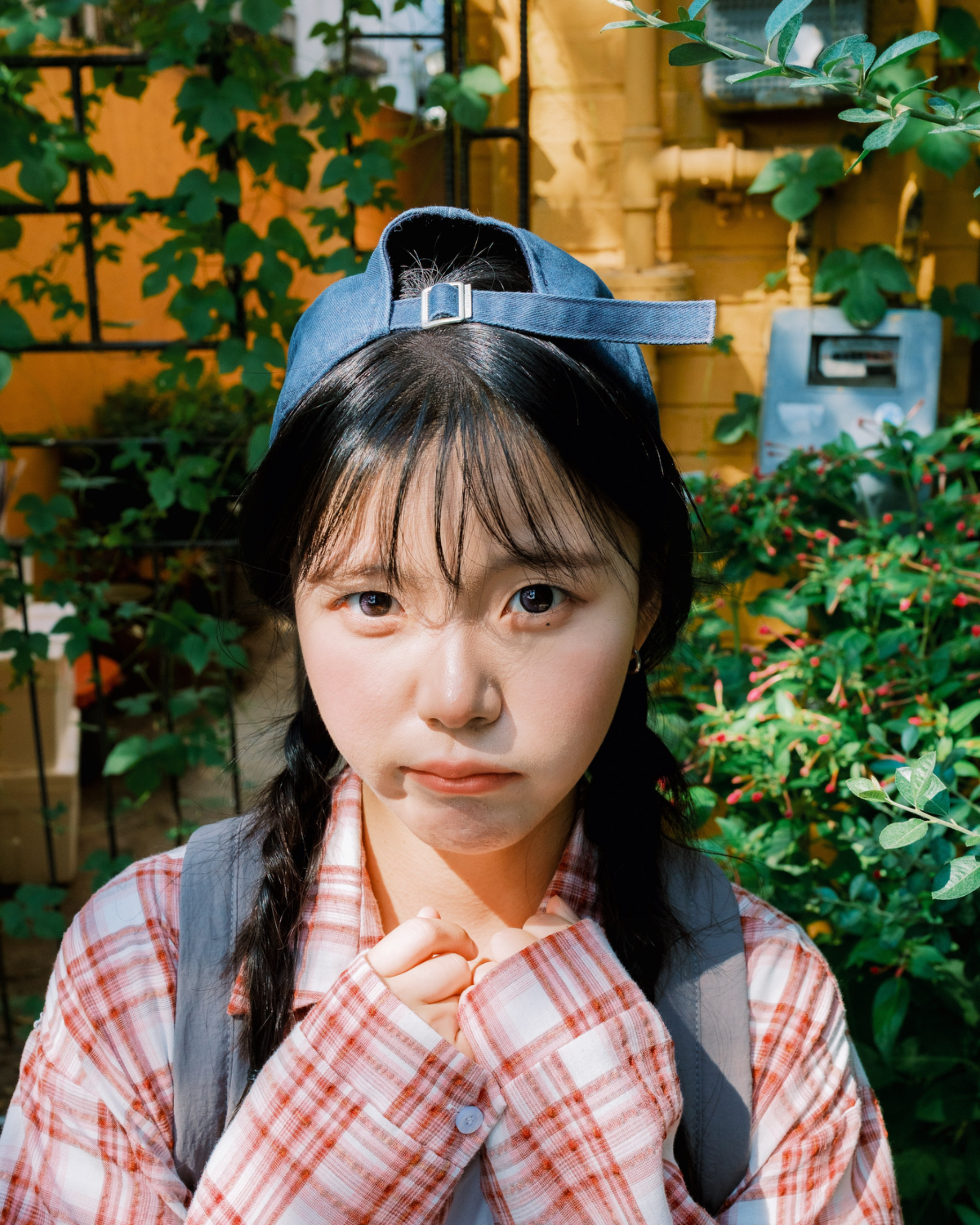 호야 대표 이미지 7