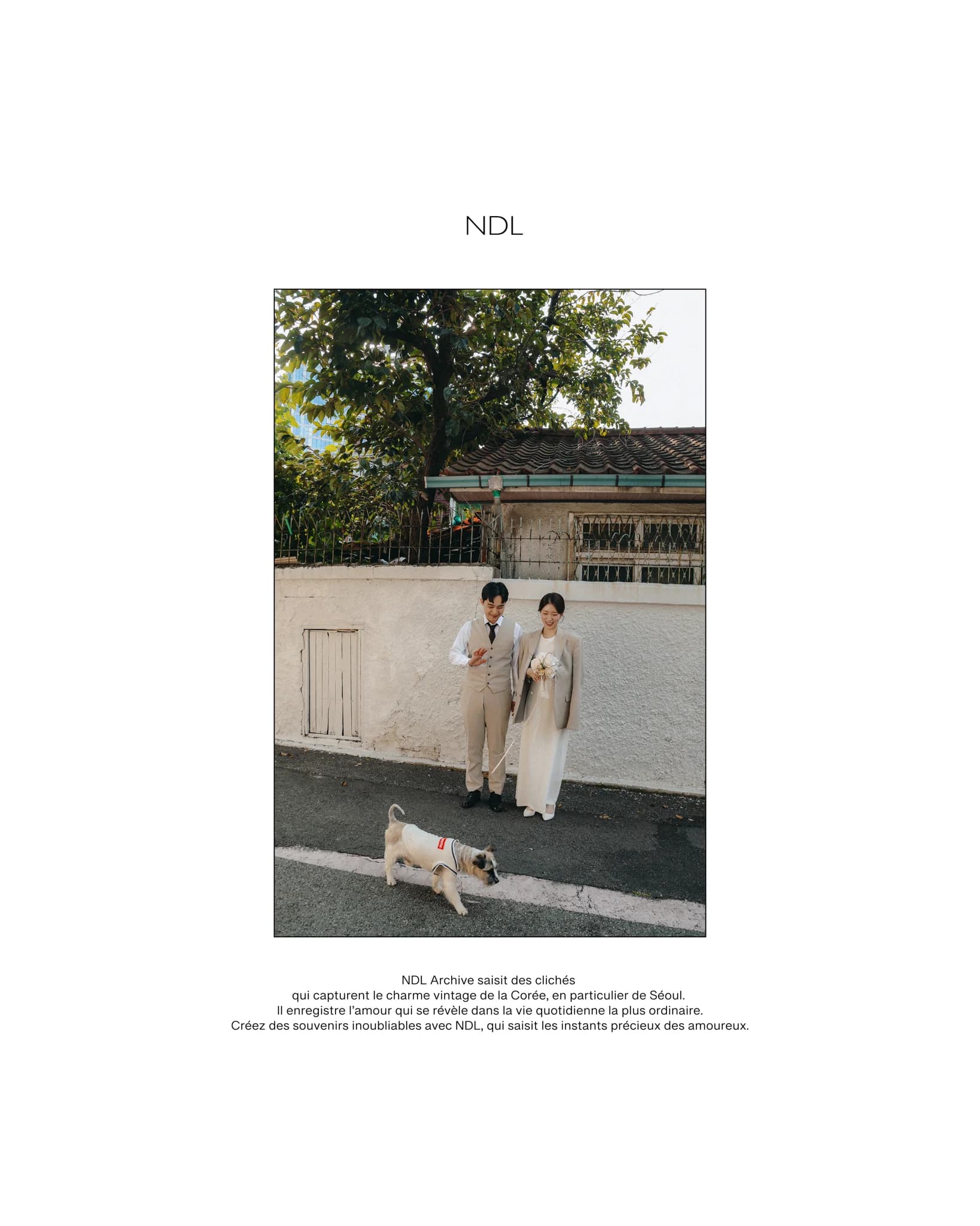 엔디엘아카이브 프리 웨딩 포트폴리오 9