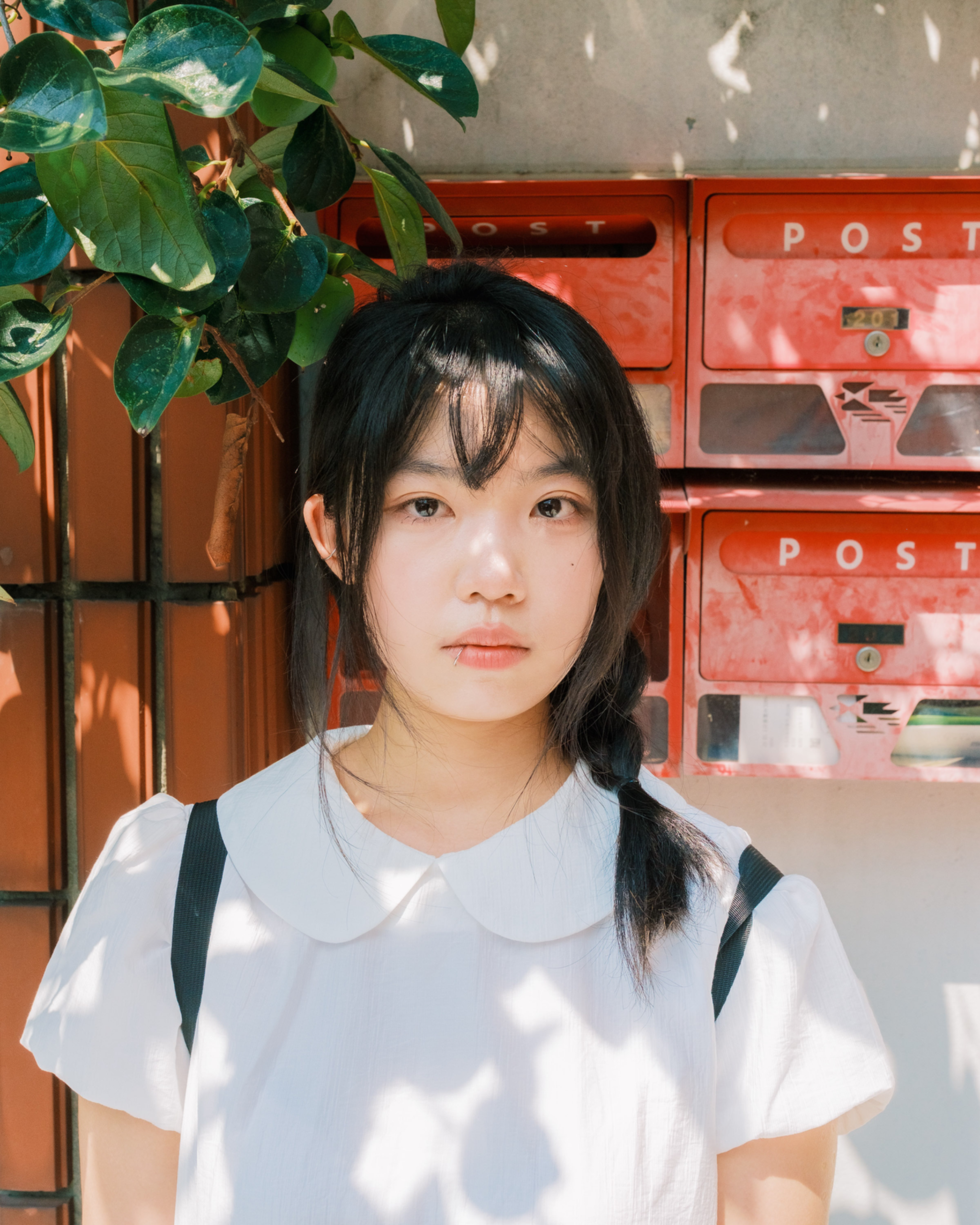 호야 대표 이미지 9