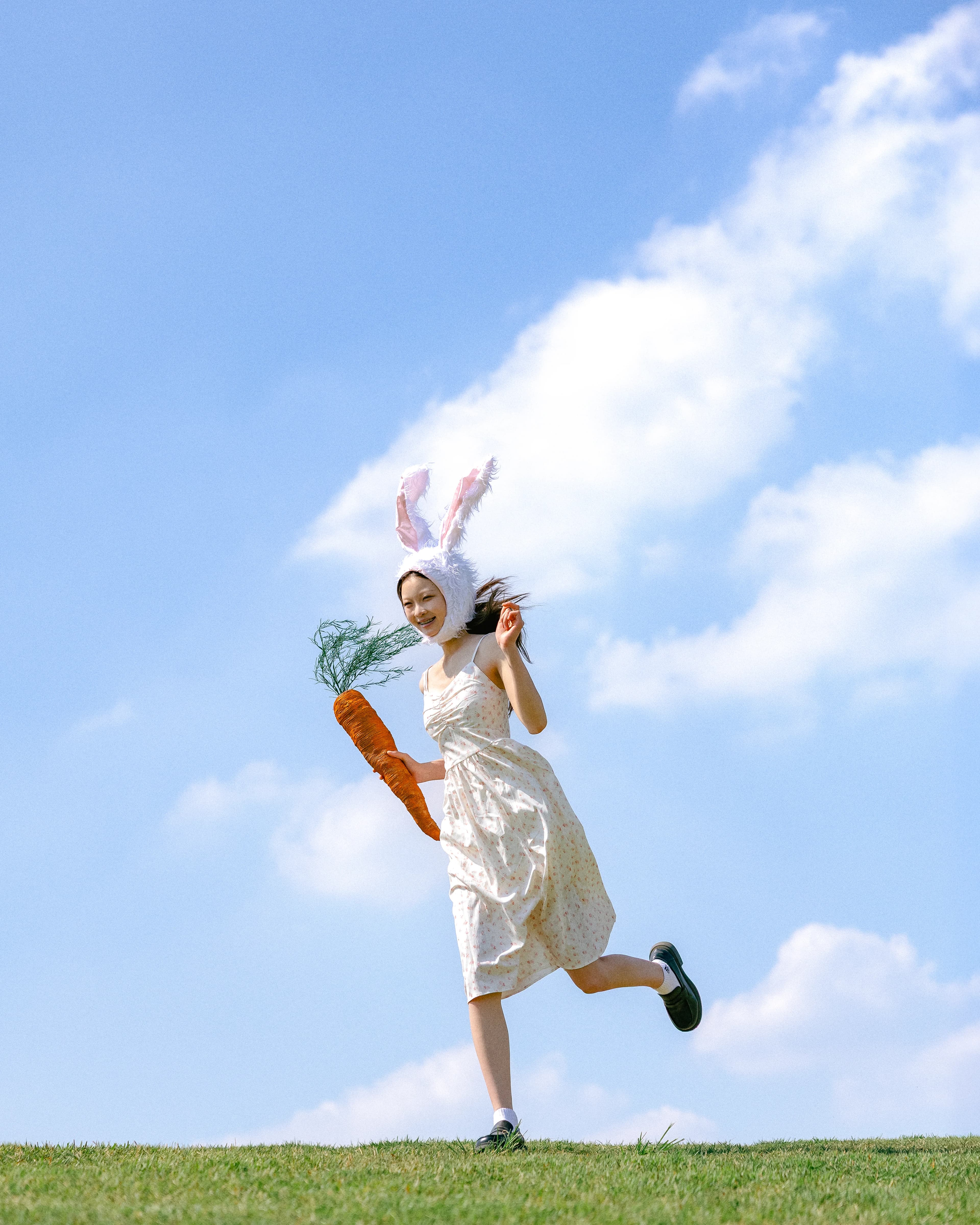 풀밭 위의 토끼 🐰🥕