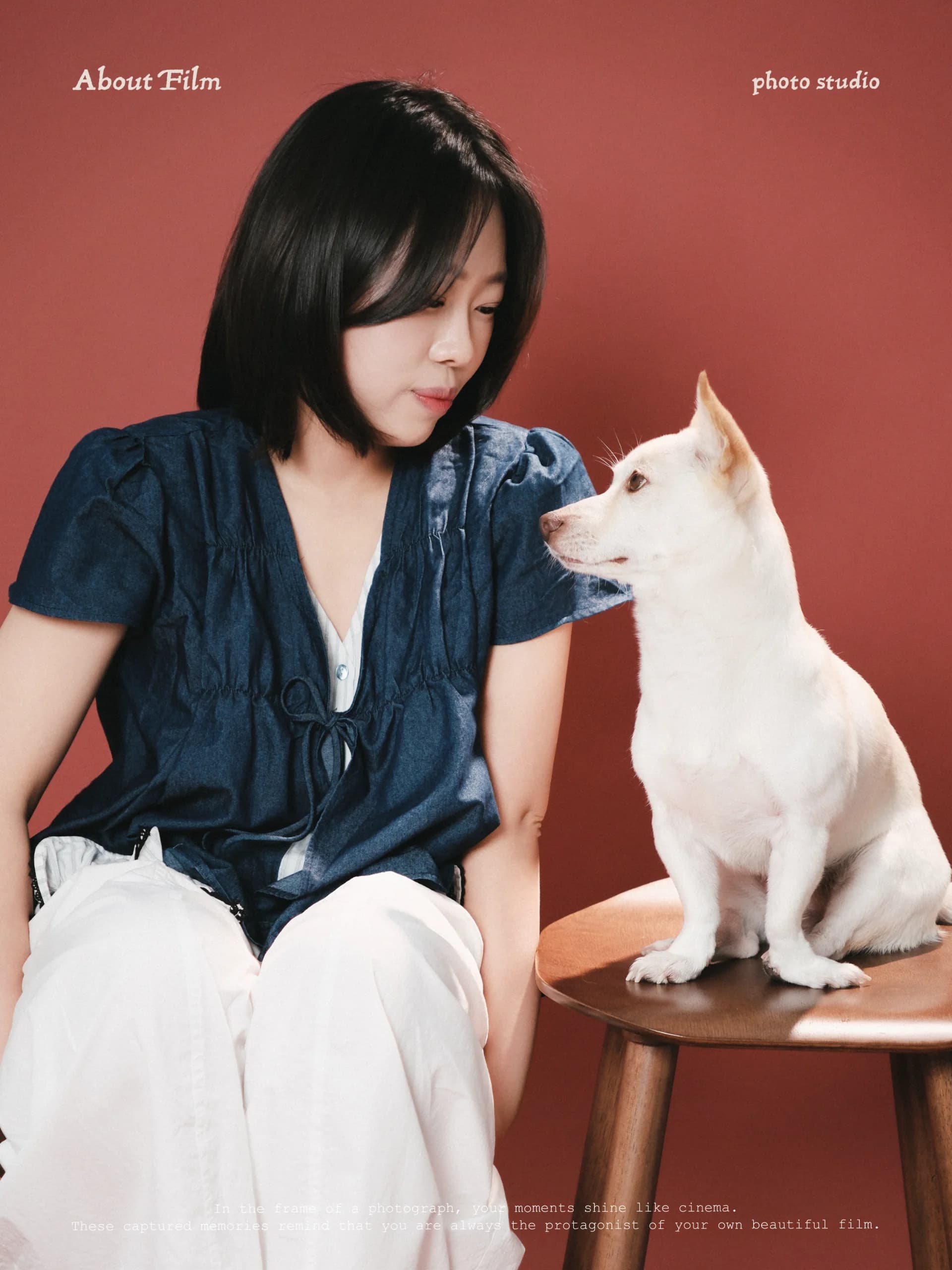어바웃필름스튜디오 펫 포트폴리오