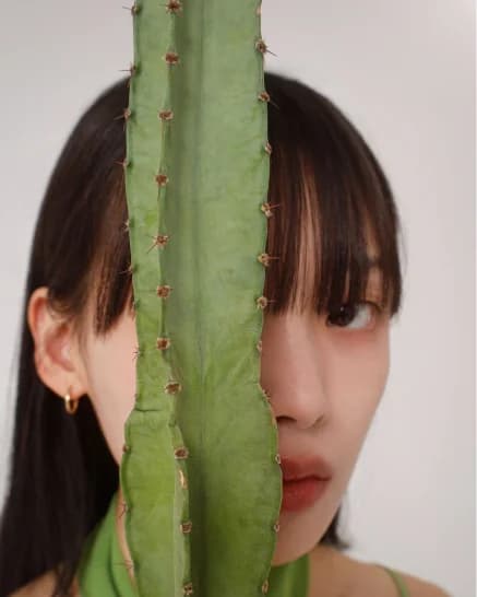 포트레이트어피어 대표 이미지 4