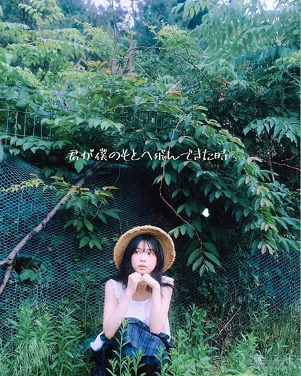 유시스냅 대표 이미지 3