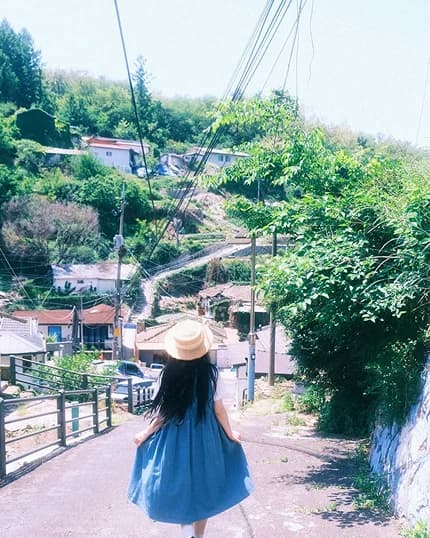 유시스냅 대표 이미지 8