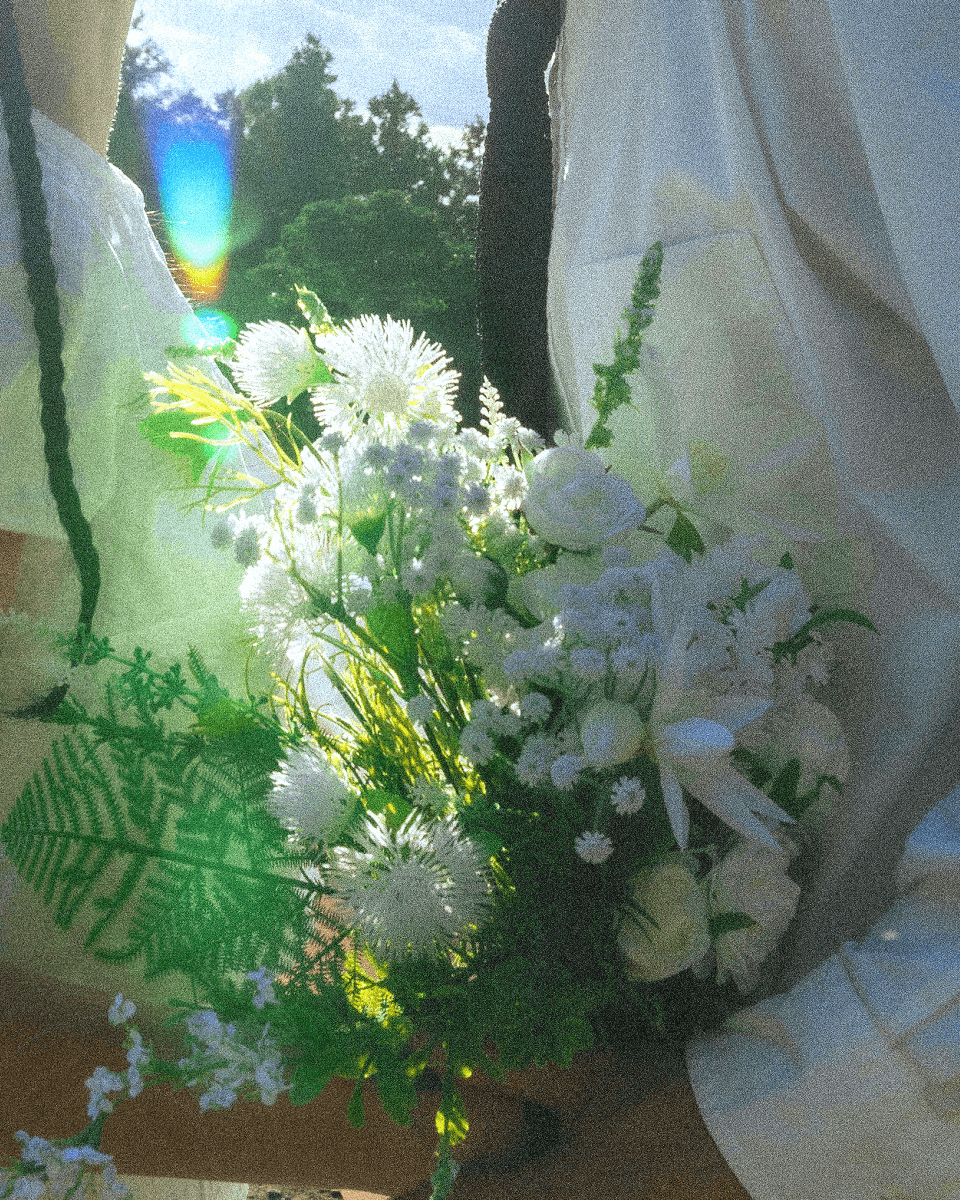 웨딩패키지 올데이