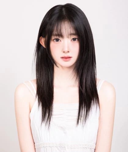 증명사진